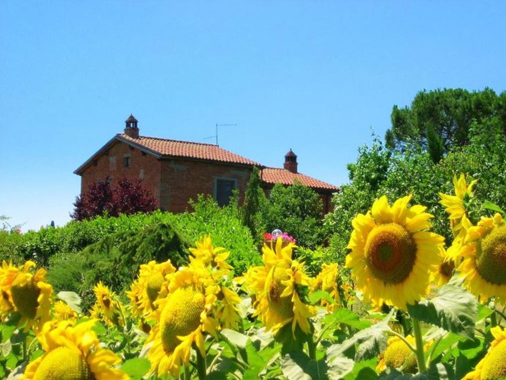 197_Agriturismo, vakantiehuis,met zwembad, Toscane Cortona, , kleinschalig, Castiglione del lago, appartementen, Italië 27