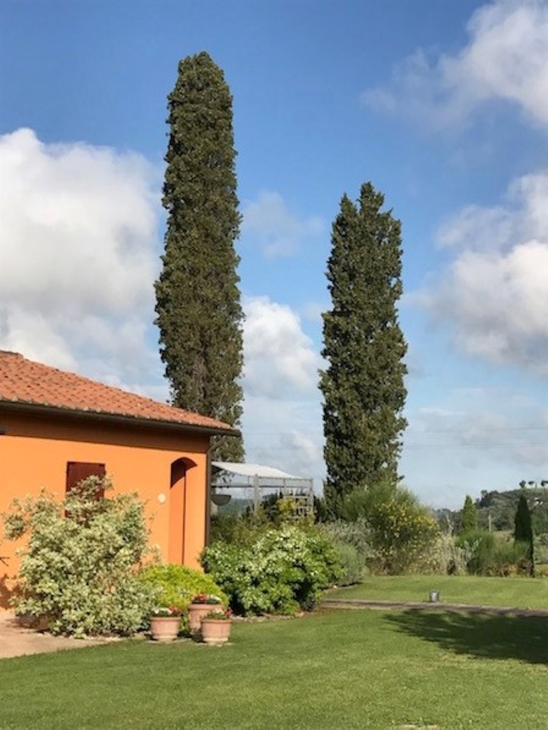 396_Luxe agriturismo, kleinschalig, vakantiehuis met zwembad, Macchia, Toscane, Florence, Pisa, Italië 21.