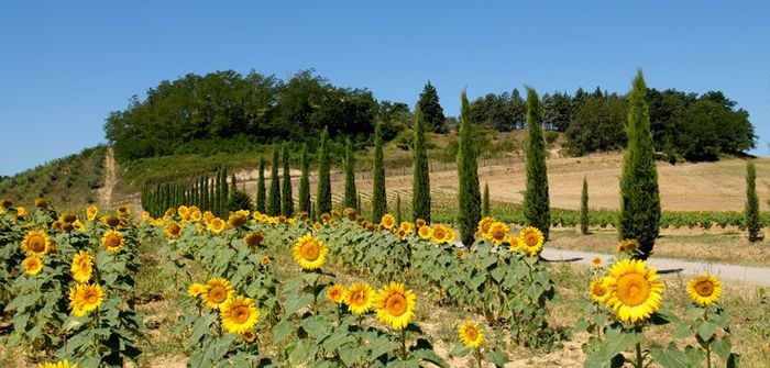 agriturismo Toscane