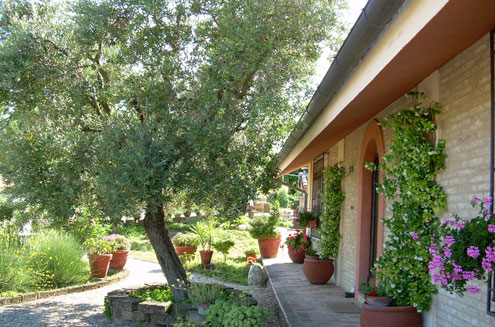 12_vakantiewoning, vakantiehuis met zwembad, Marche, Recantie, Conero, Italie 13