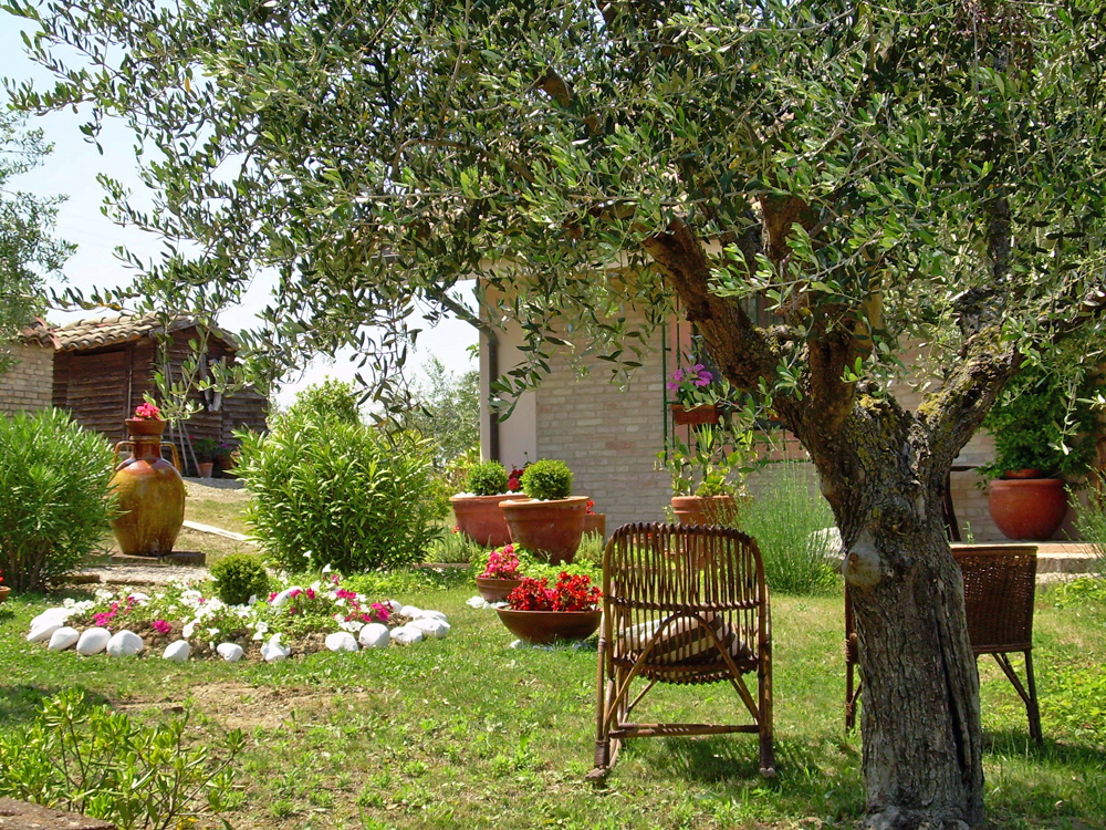 12_vakantiewoning, vakantiehuis met zwembad, Marche, Recantie, Conero, Italie 18.1