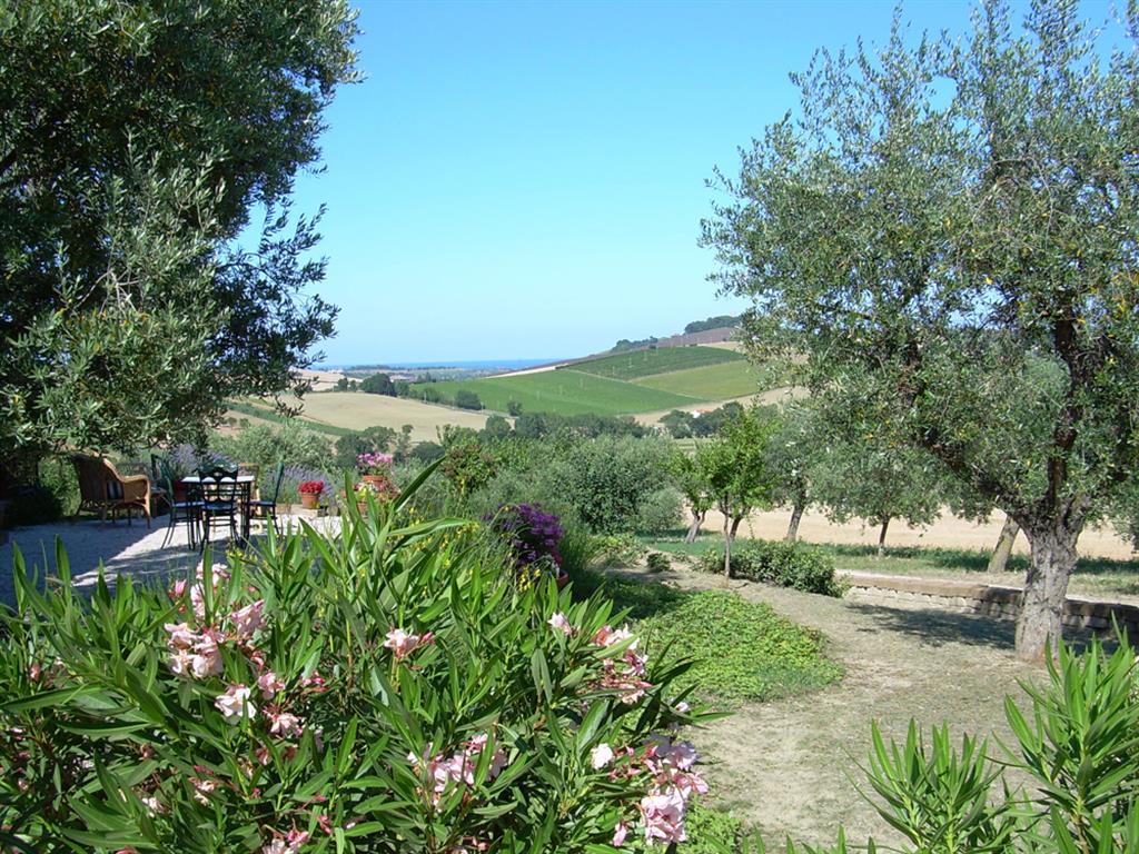 12_vakantiewoning, vakantiehuis met zwembad, Marche, Recantie, Conero, Italie 18