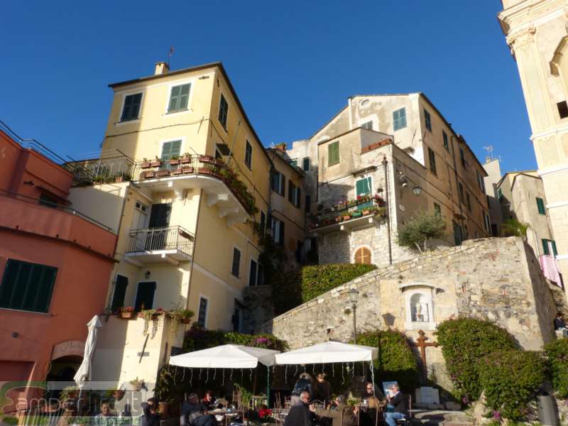 281_Cervo