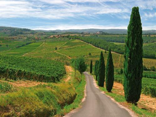 352_Tavernella vakantiewoningen met zwembad Toscane Chianti1