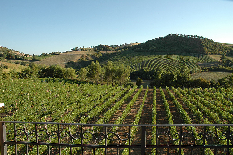 359_vakantiewoning met zwembad Serrapetrona, Marche Macerata2