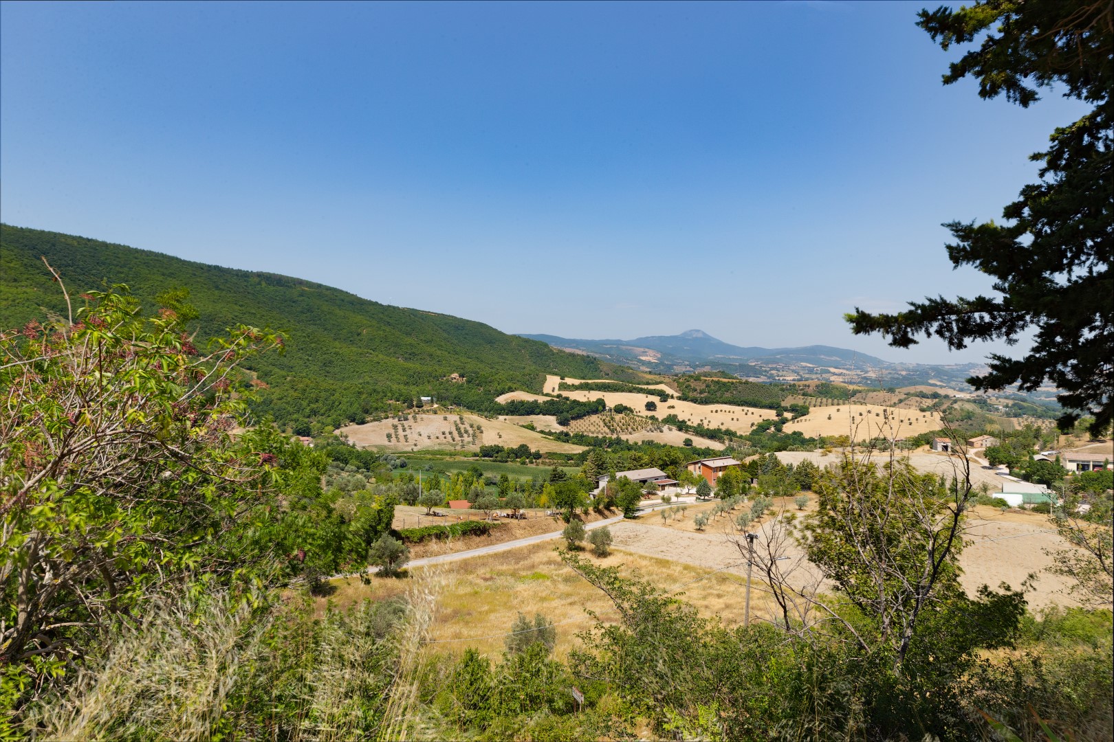 457_a33fbdc_Casa Paris, vakantiewoning met prive zwembad, Marche (25)