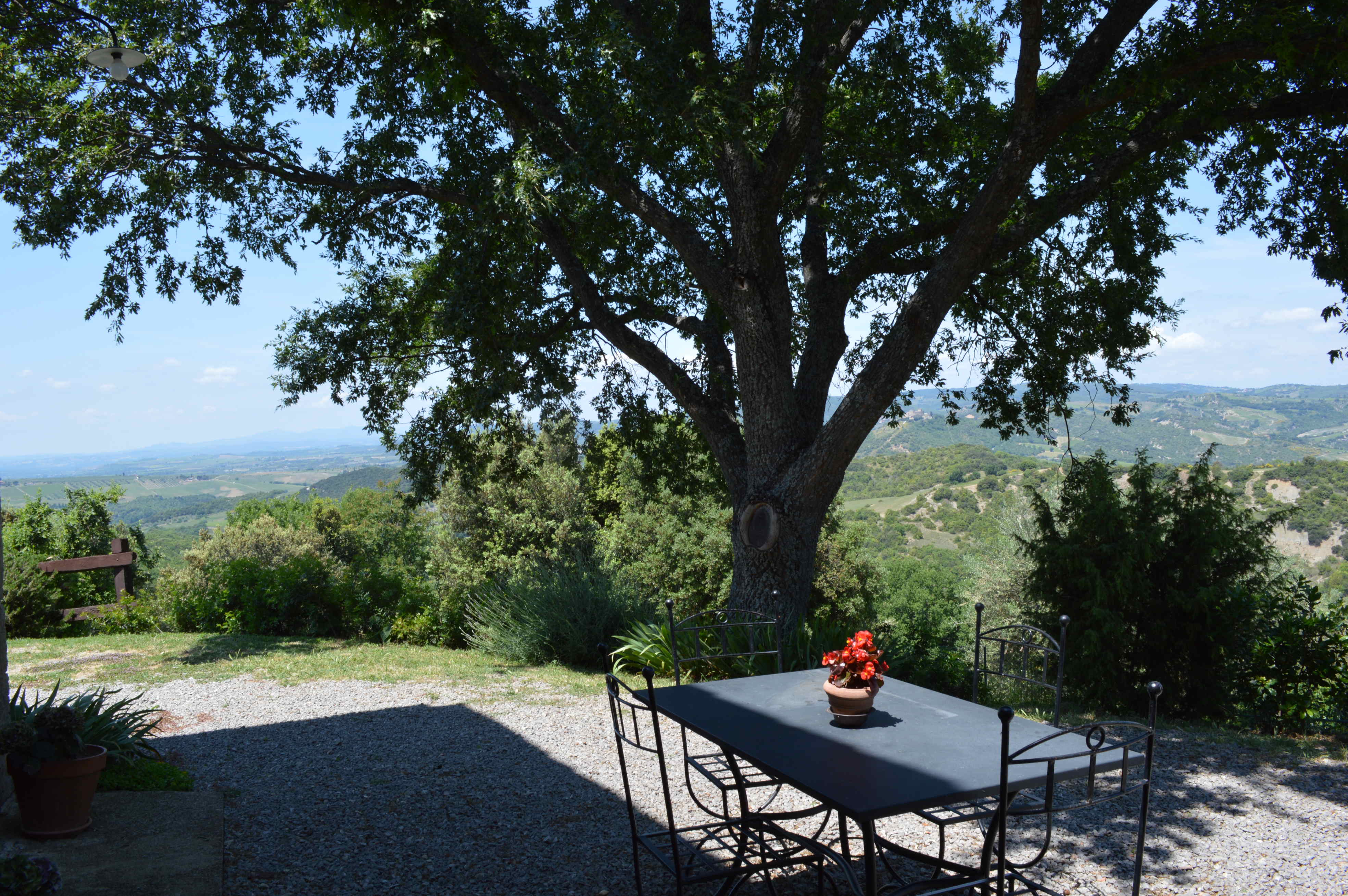 76_468bbec_Agriturismo Podere Vista, Toscane, Siena. Ulivi (1)