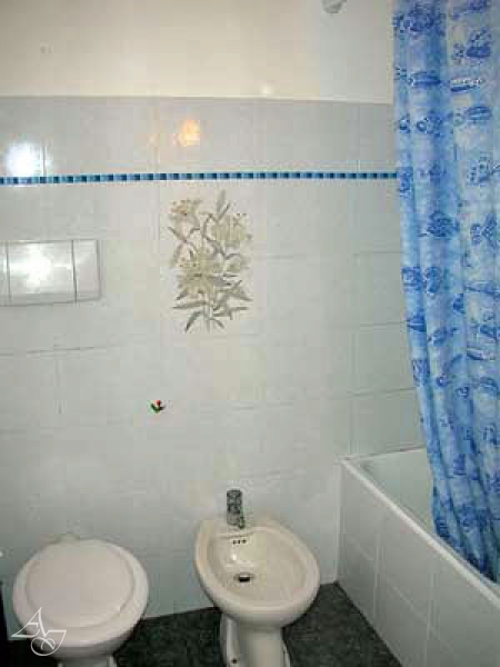 87_433d38e83bd30ba218d6dd4012419828