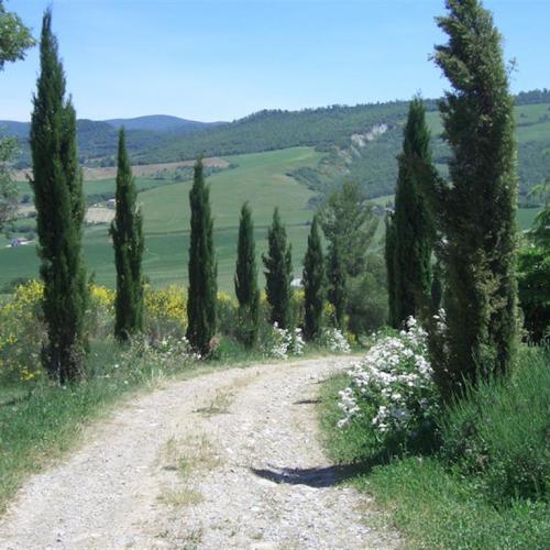 Agriturismo Le Querce di Campocane