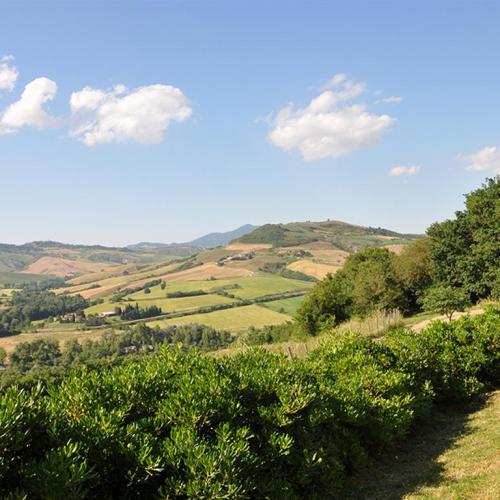 Agriturismo Le Querce di Campocane