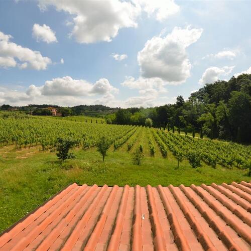 Casa Sogno Tra i Vigneti