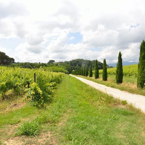 Casa Sogno Tra i Vigneti