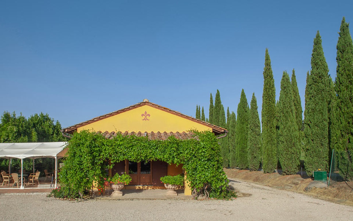 394_Agriturismo Toscane, Chianti, vakantiehuis met zwembad, Montespertoli, Tenuta Moriano,wijnboerderij, Italië 20.2