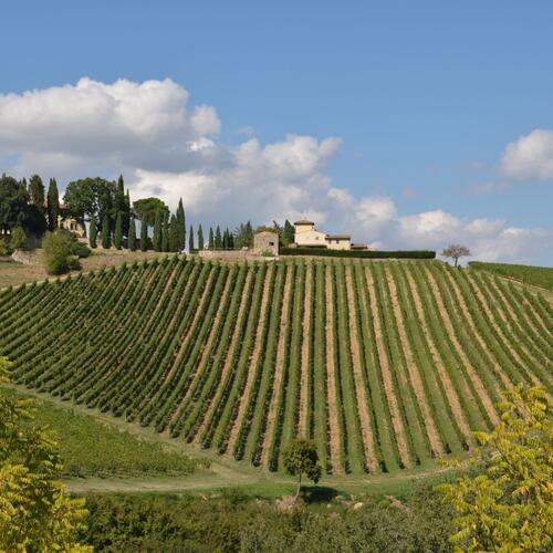 Agriturismo Tenuta Branca