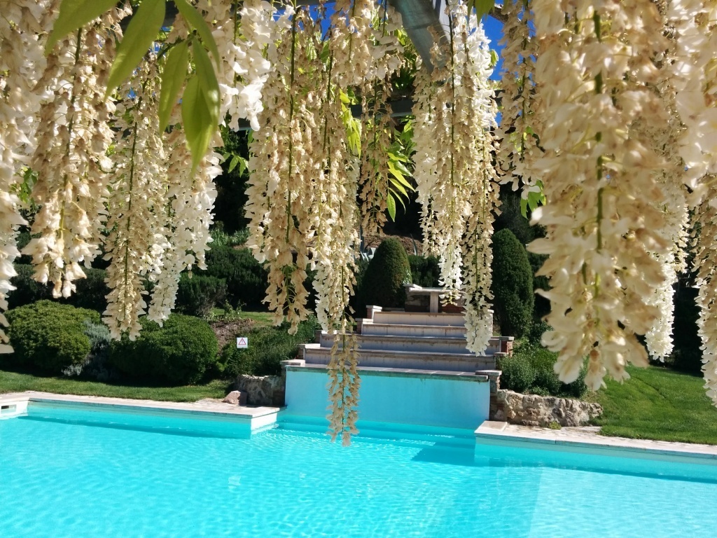 436_9a7d96a_Luxe vakantiewoning met privÃ© zwembad met grote groep, Agriturismo, wijnboerderij, Toscane, Montepulciano (18)
