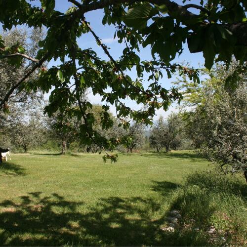 Agriturismo Casa Bevignano