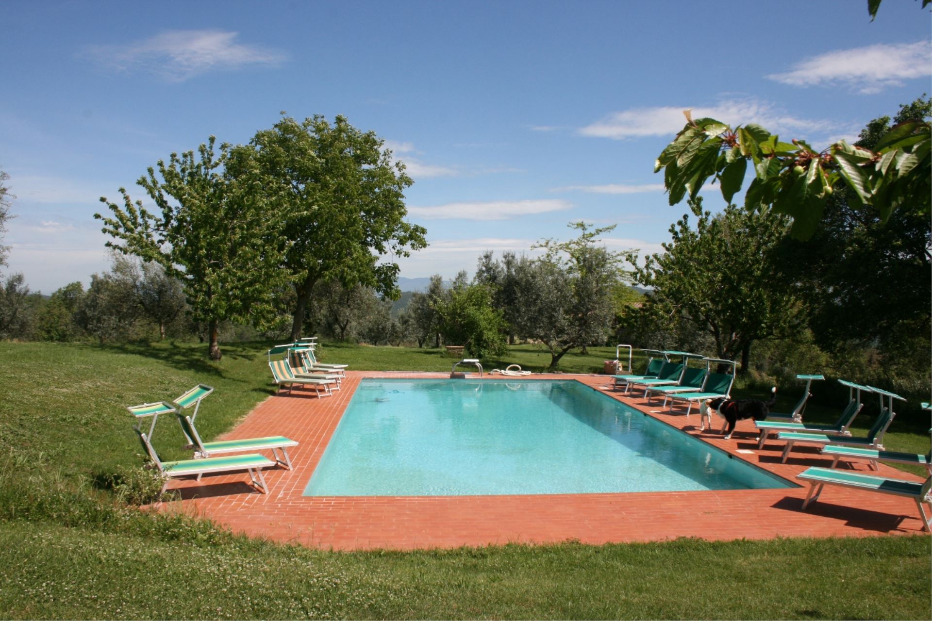 456_9fb6163_Agriturismo Bevignano, Arezzo Siena, zwembad, tennisbaan, olijfolie, kindvriendelijk (6)