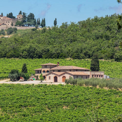Villa Sangiovese all’Aia
