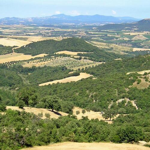 Agriturismo Bella Vista